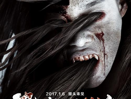法国驾照哪里有卖